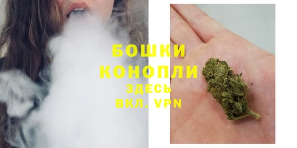 хмурый Касимов
