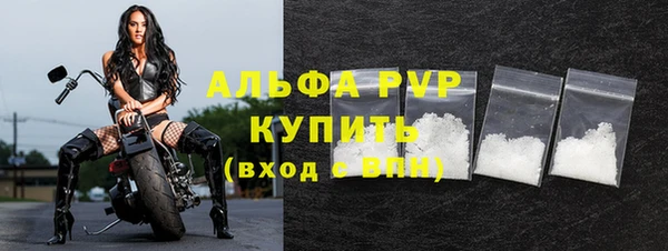 хмурый Касимов