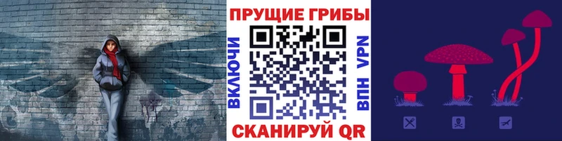 Псилоцибиновые грибы прущие грибы  Купить где  Горно-Алтайск 